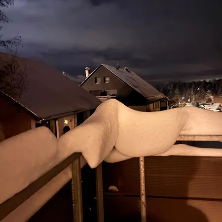 Apartmán Tiny Retreat- Balkon - Parken- Zentral Braunlage